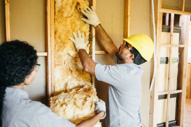 Insulation Replacement Services in Eastlawn Gardens, PA