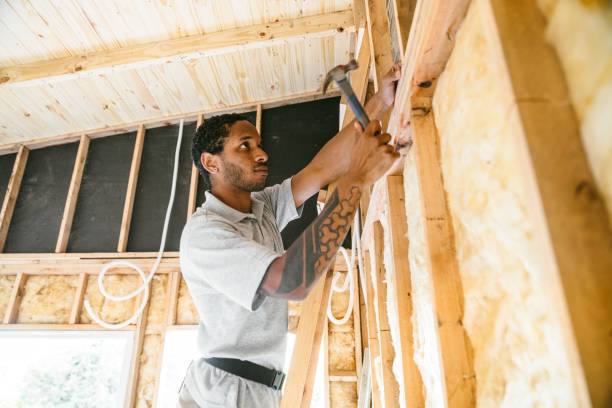 Best Insulation Replacement Services  in Eastlawn Gardens, PA