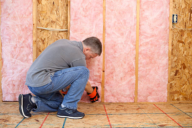 Best Fiberglass Insulation  in Eastlawn Gardens, PA