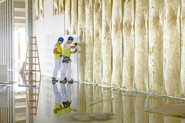Best Insulation Contractor Near Me  in Eastlawn Gardens, PA